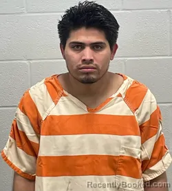 Mugshot of CREIVI ARADIEL BRICENO MEDINA