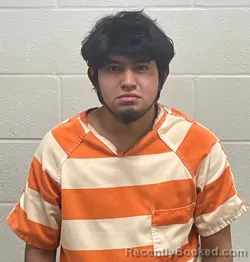 Mugshot of WILDER VICTALI VASQUEZ PEREZ