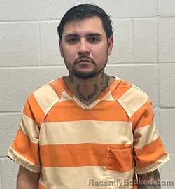 Mugshot of BRYAN ROSALES TORRES