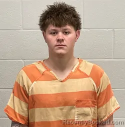 Mugshot of KAMRIN JASE LEWIS