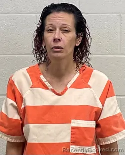 Mugshot of VERONICA RENEE ARNOLD