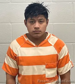 Mugshot of RODOLFO COLLAZO MENDEZ