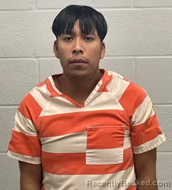 Mugshot of JAEL REYES TORRES