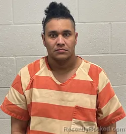 Mugshot of MICHELL ADRIANO VICTORIANO GENAO