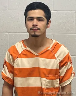 Mugshot of JOSE M SONORA SANCHEZ