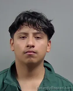 Mugshot of CELESTINO GUZMAN VERDUGO