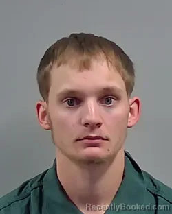 Mugshot of DYLON BRYCE WALKER
