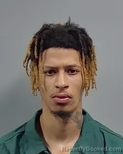 Mugshot of RILEY DEMETRI GRIGGS