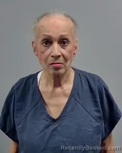 Mugshot of NINA TIANA OHAYON
