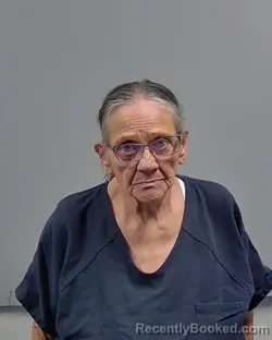 Mugshot of LINDA ANN LEWIS