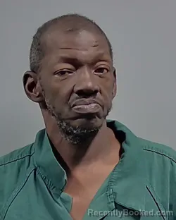 Mugshot of AVIS LATHELL SEALS