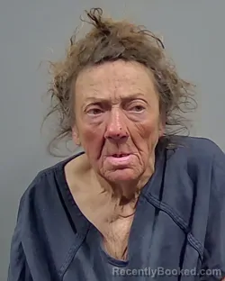 Mugshot of KATHRYN LOU WILKINS