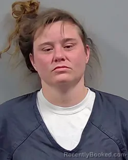 Mugshot of MANDY LEIGH HEIDER