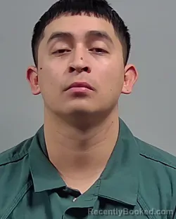 Mugshot of TIGER LEE BRISCOE