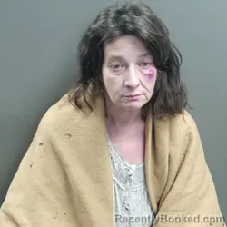 Mugshot of Melissa Andrews