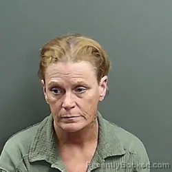 Mugshot of Rachel Bachman