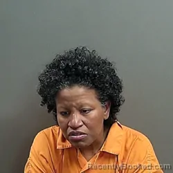 Mugshot of Tamara Lynn Mitchell