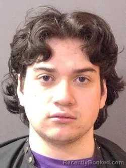 Mugshot of Ziya Eren Berker