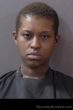 Booking photo from Hamilton County, Indiana