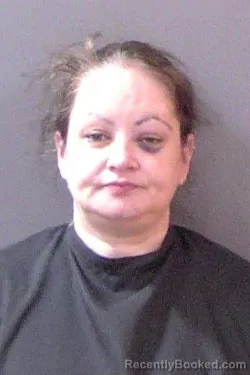 Mugshot of Brittani Ann Horn