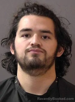 Mugshot of Andrew Robert Borrink