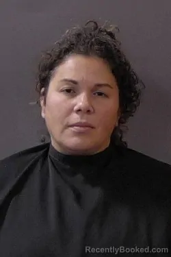 Mugshot of Kerry Ann Besaw