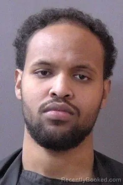 Booking photo from Hamilton County, Indiana