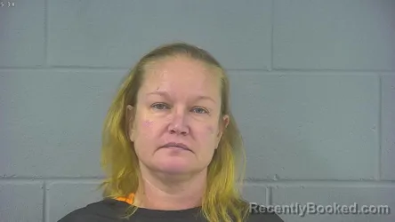 Mugshot of MEREDITH J LINVILLE