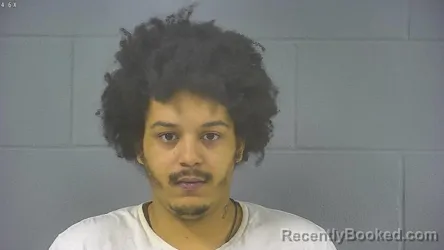 Mugshot of DEMILO MAURICE JOHNSON