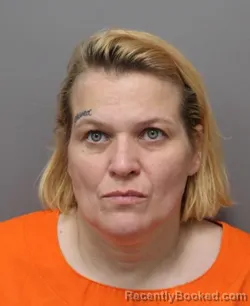 Mugshot of ERIN JO WHITLOW