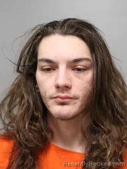 Mugshot of BRAYDEN EMORY WALSTON