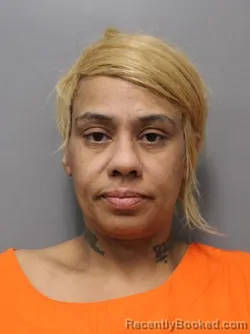 Mugshot of THEDA ANN CRISS