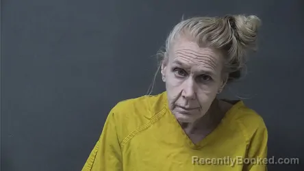 Mugshot of LESA ANN YOUNG