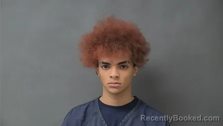 Mugshot of LANDON ALLEN EARVING