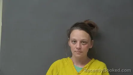 Mugshot of LISA FAYE HARRIS