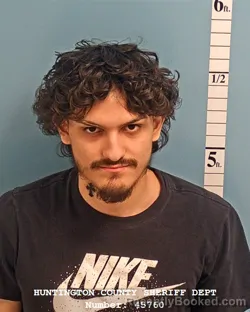 Mugshot of ARTURO REYES