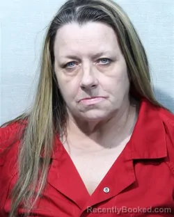 Mugshot of BRENDA K MCNEAR