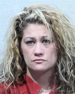 Mugshot of BRANDY ANN BROCK