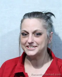 Mugshot of STACY ANN WALKER