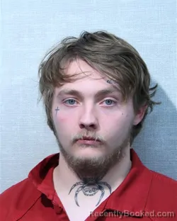 Mugshot of JOHN SKIRVIN