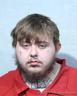 Mugshot of BRENDON LEVI MILLIGAN