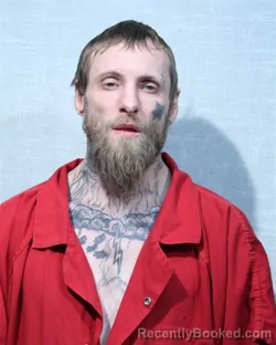 Mugshot of ROBERT LEE ANDERSON