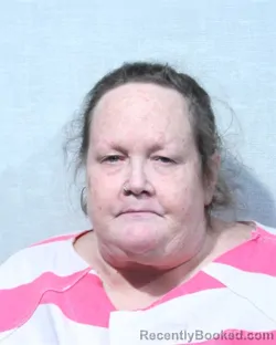 Mugshot of TINA MARIE LAWSON
