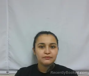 Mugshot of KAYLA KIMBERLY PORTILLO