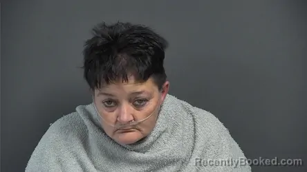 Mugshot of HEATHER DAWN SEALS