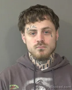 Booking photo from Kosciusko County, Indiana