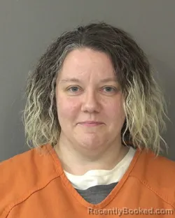 Booking photo from Kosciusko County, Indiana