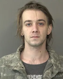 Mugshot of BRANDON LEE PALMER