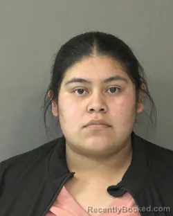 Mugshot of CINTHYA DE LA LUZ