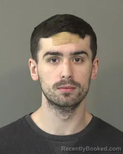 Mugshot of CAMERON OTIS SCHULTZ